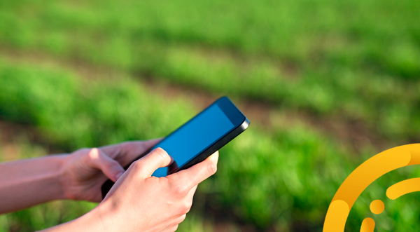 rastreabilidade e controle